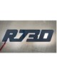 LOGO R730 LED.jpeg SCRITTA LED " R730 " PER SCANIA 24V